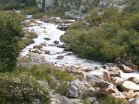River in Bainskloof