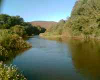 River scene in Greyton
