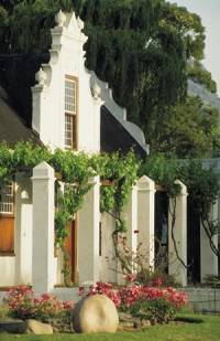 Wine Estate in Stellenbosch